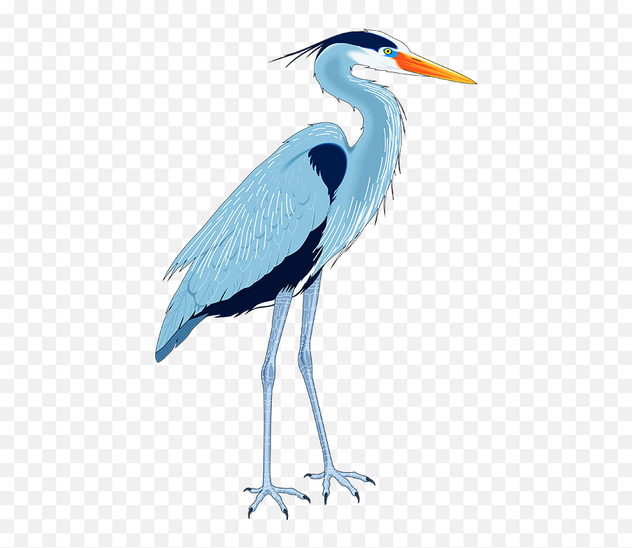 Great Blue Heron Drawing Clip Art - Blue Heron Clip Art Png,Heron Icon
