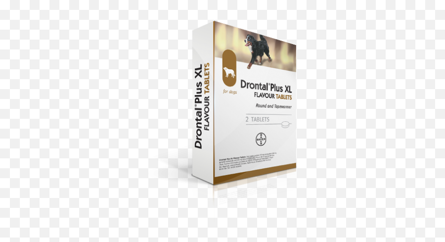 Drontal Plus For Dogs 1 Tab 22 Lbs 6 Tablets Pack - Cardboard Packaging Png,Adidas Energy Boost Icon Cleats