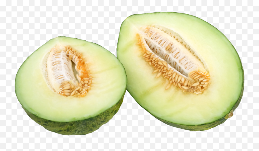 Melon Png Icon - Cantaloupe,Cantaloupe Png
