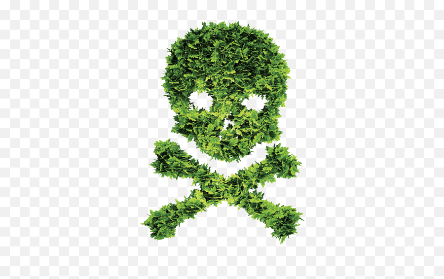 Seize The Disease - Lawn U0026 Landscape Roundup Monsanto Png,Dead Grass Png