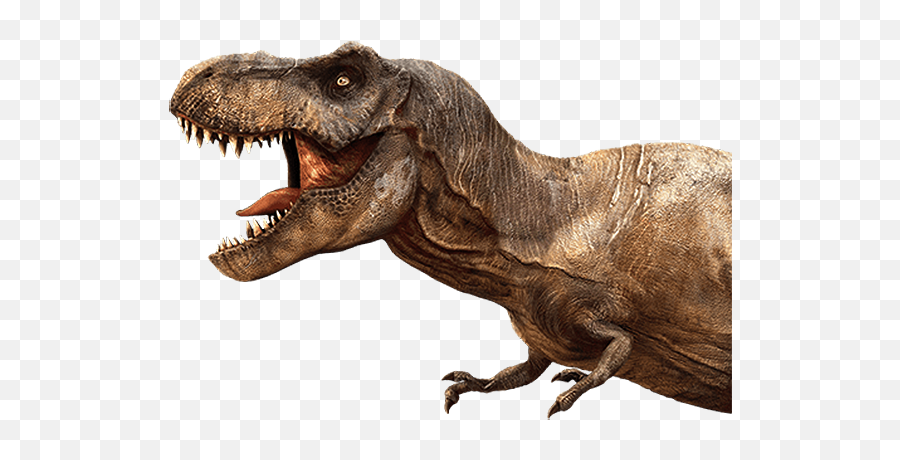 Tyrannosaurus Rex Png 6 Image - T Rex Png,Tyrannosaurus Rex Png