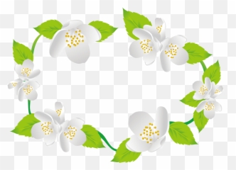 Library Of Jasmine Flower Png Files Clipart - Burnet Rose,Jasmine Png