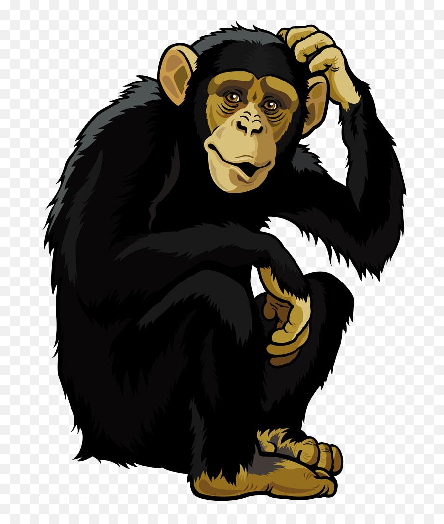 Orangutan Monkey Chimpanzee Clip Art - Orangutan Monkey Monkey Clipart Png,Orangutan Png
