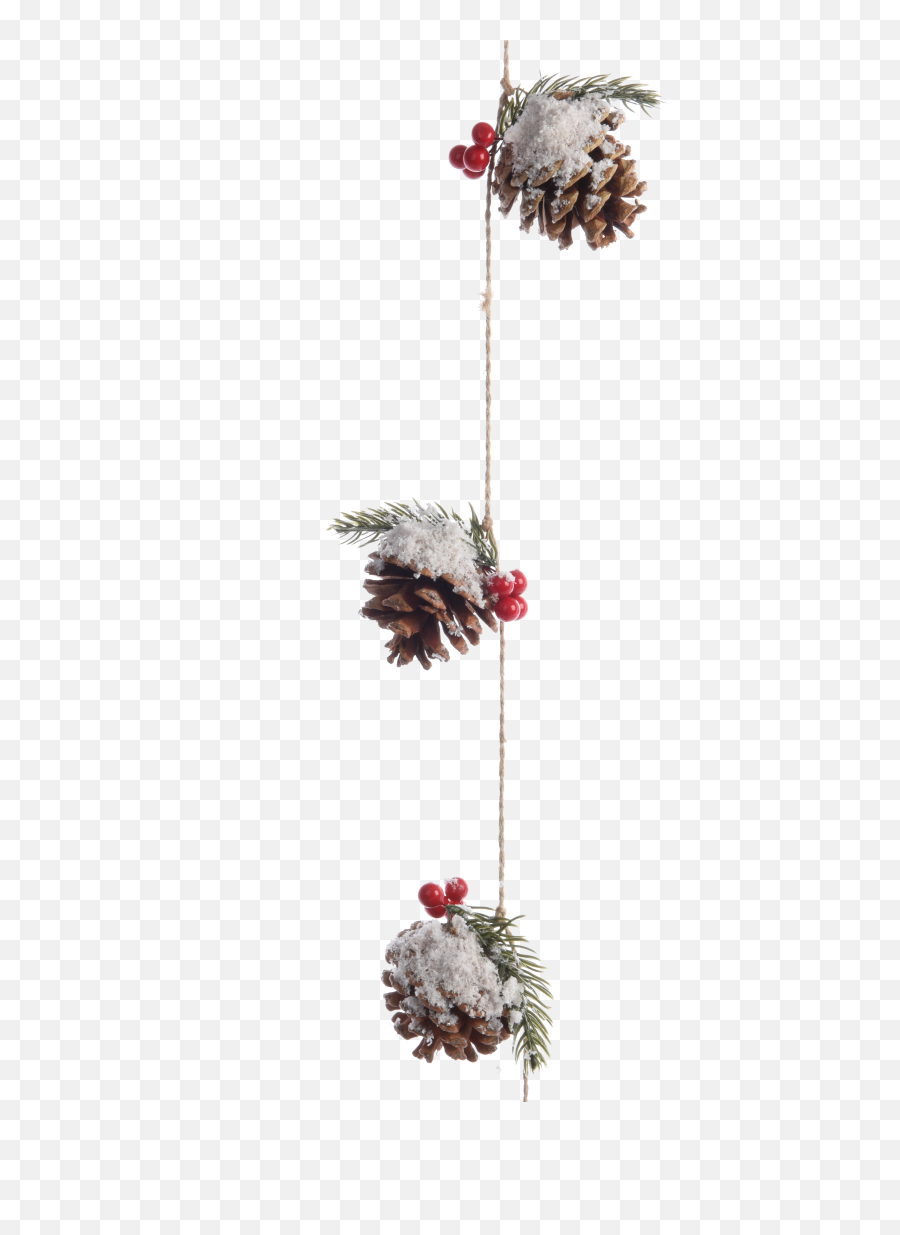 Käthe Wohlfahrt - Online Shop Pinecone Garland With Berries And Snow Christmas Decorations And More Png,Pine Cone Png