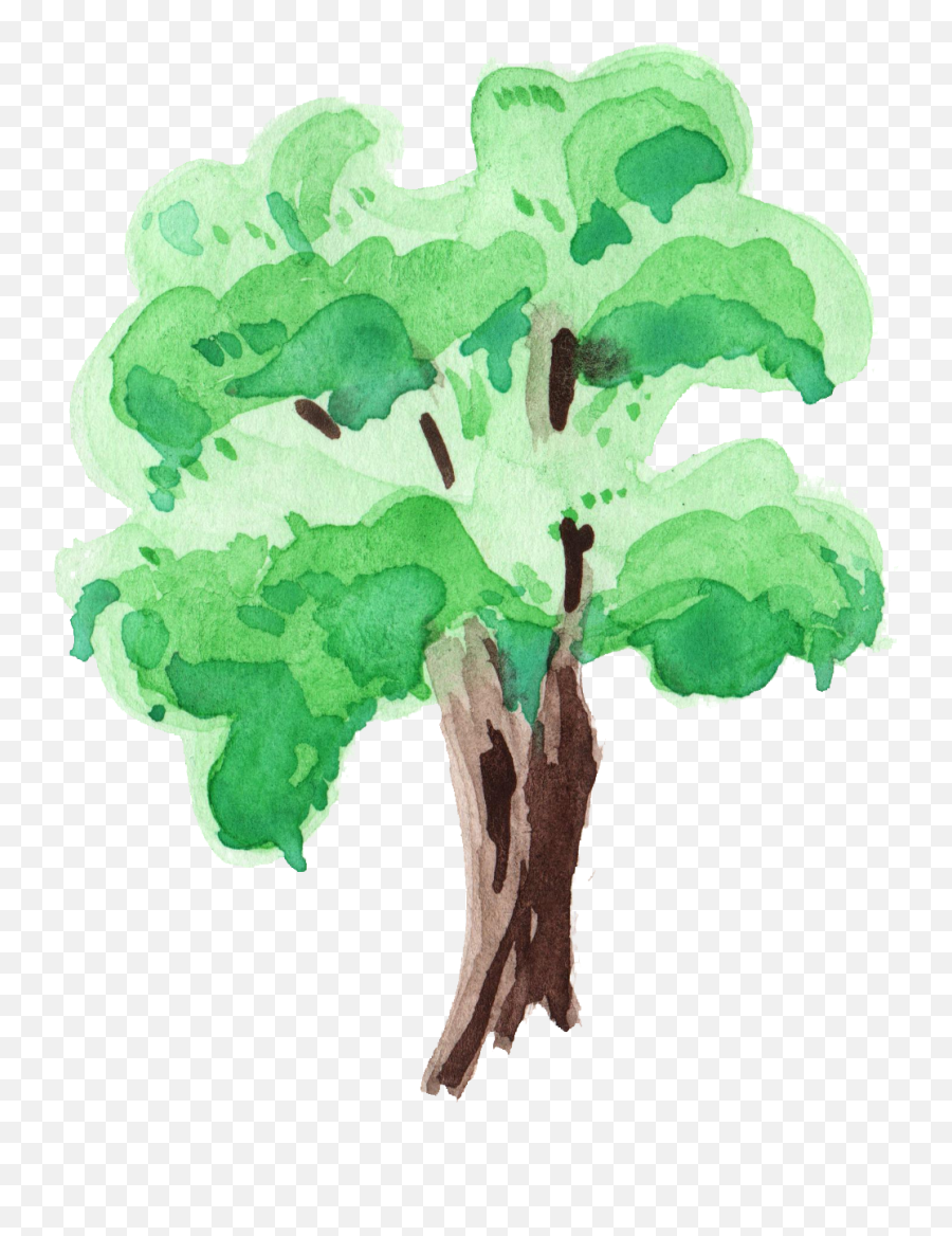12 Watercolor Tree Transparent - Water Paint Tree Png,Watercolor Tree Png