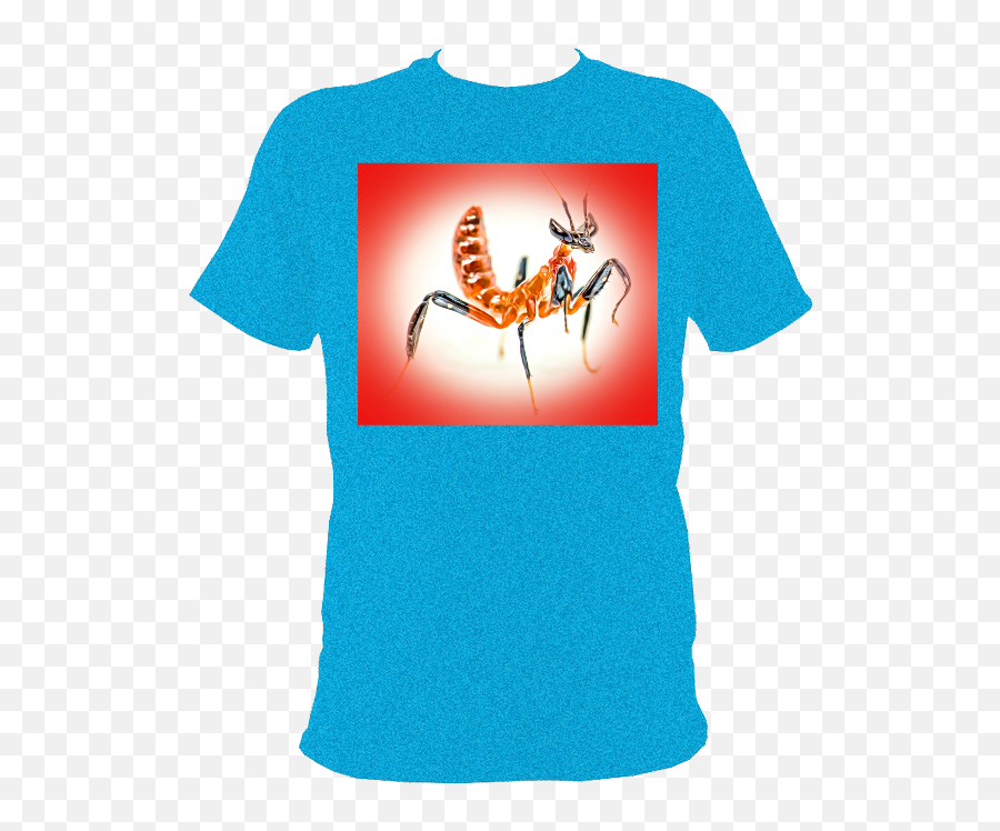 Pfc5bkva2y6t12auzn1257hefu678154jys5dantiquesapphirenew - 1 Family Camping Shirts Png,Praying Mantis Png