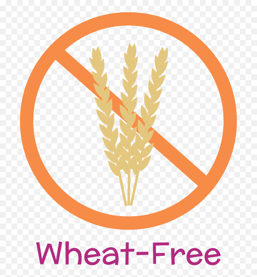Nomster Chef Wheat - Free Recipes Fun Food Recipes For Light At Night Disrupts Circadian Clock Png,Wheat Png