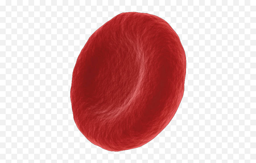 Blood Cells Png Picture 3241660 - Red Cell,Cells Png