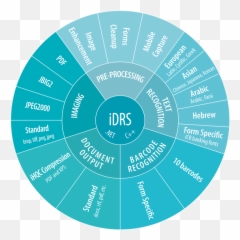 Iris Ocr Sdk - Vertical Png,Iris Png