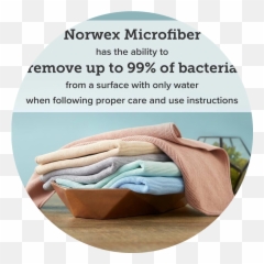 Independent Norwex Consultant - png