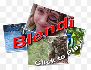Play Free Yahtzee And Picture Blender Games - Photomontage png