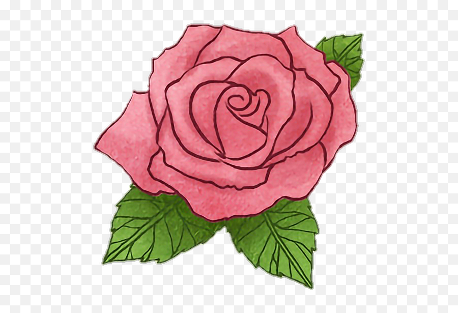 Rose Flower Littleprince Story Drawing - Lovely Png,Watercolor Rose Png