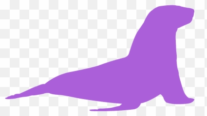 California Sea Lion Transparent Cartoon - Jingfm Lovely Png,Sea Lion Png