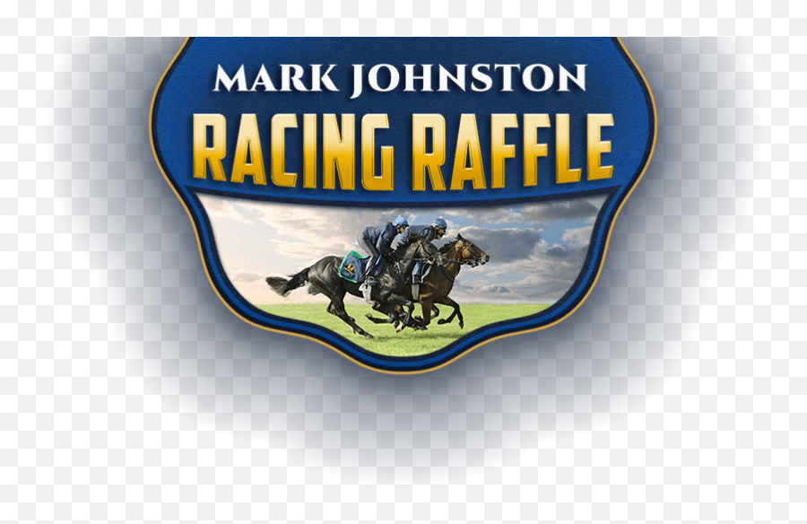 Racehorse Lotto - Mark Johnston Racing Raffle Make A Wish Star Png,Racehorse Icon