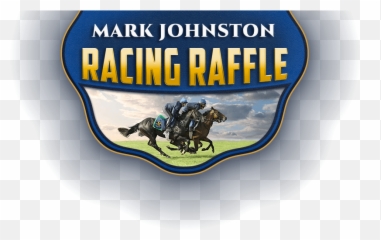 Racehorse Lotto - Mark Johnston Racing Raffle Make A Wish Star png