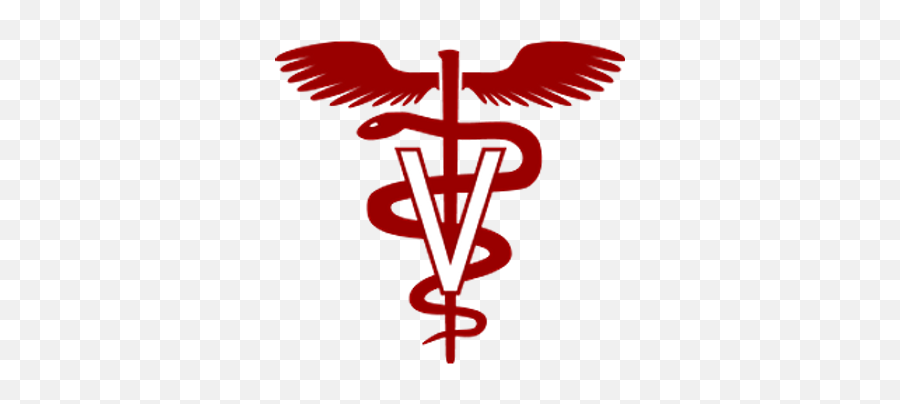 Our Services Chehalis Wa Jackson Hwy Veterinary Clinic - Veterinary Symbol Png,Lvt Icon