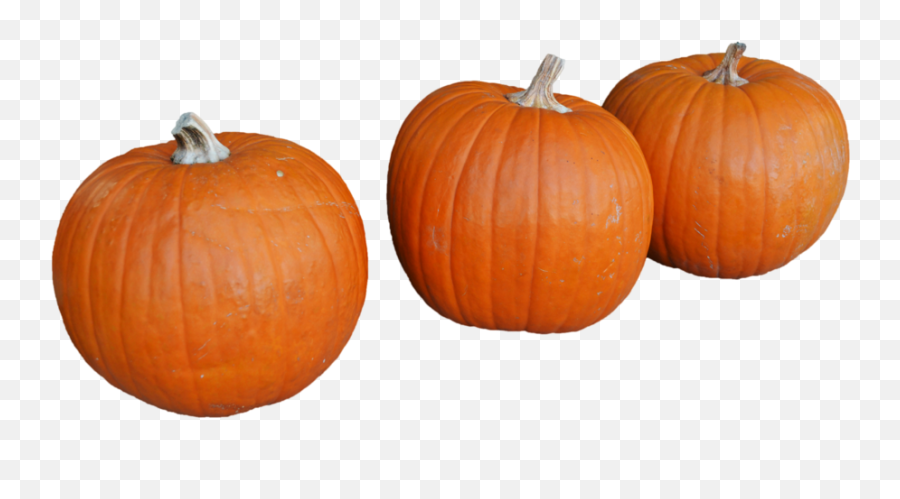 Download Pumkin Png Image With No - Portable Network Graphics,Pumkin Png