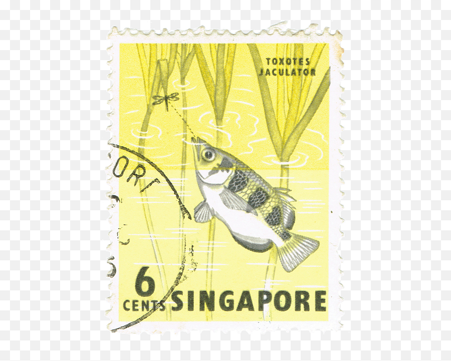 About Just Anotherangler - Singapore Stamp Png,Orthodox Laminated Icon Cards
