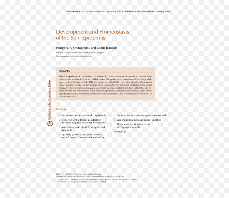 Pdf Development And Homeostasis Of The Skin Epidermis - Document Png,Footjoy Icon 52016