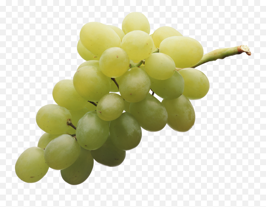 Download Green Grapes Png Image For Free - Grapes Png,Grapes Png