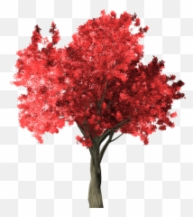Zelkova Serrata Tree Red Png