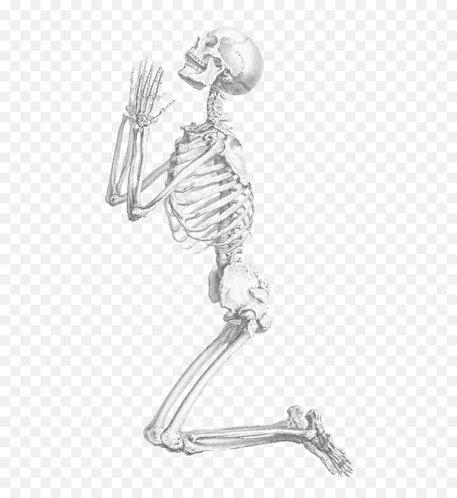 Download Halloween Skeleton Transparent - Png Transparent Background Skeleton Png,Skeleton Png