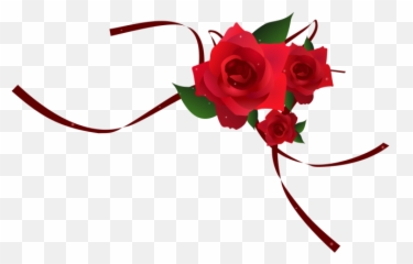 Download Png Red Rose Border Vector - Design