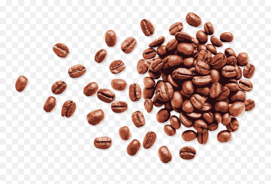 Vector Hand - Coffee Beans Png,Coffee Bean Vector Png