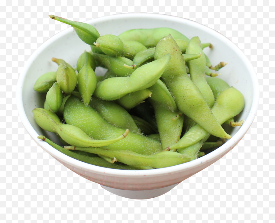 Download Edamame Bean Png Image For Free - Edamame Beans Png,Bean Png