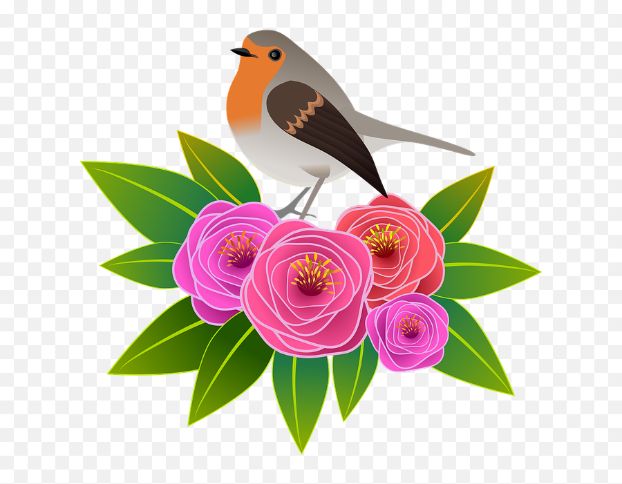 Flowers Illustration Bird - Free Image On Pixabay Gambar Ilustrasi Hewan Dan Tumbuhan Png,Flower Illustration Png