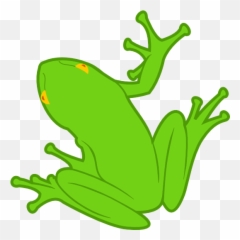Wcf48 - Frog Png Clipart,Frog Clipart Png