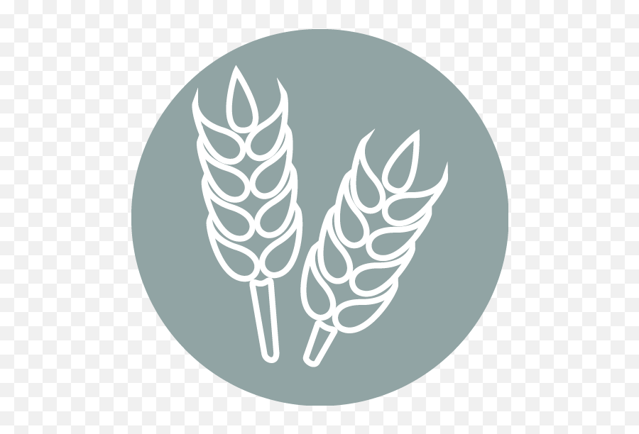 Food And Agriculture In Transparent U0026 Png Clipart Free - Food And Agriculture Icon,Agriculture Png