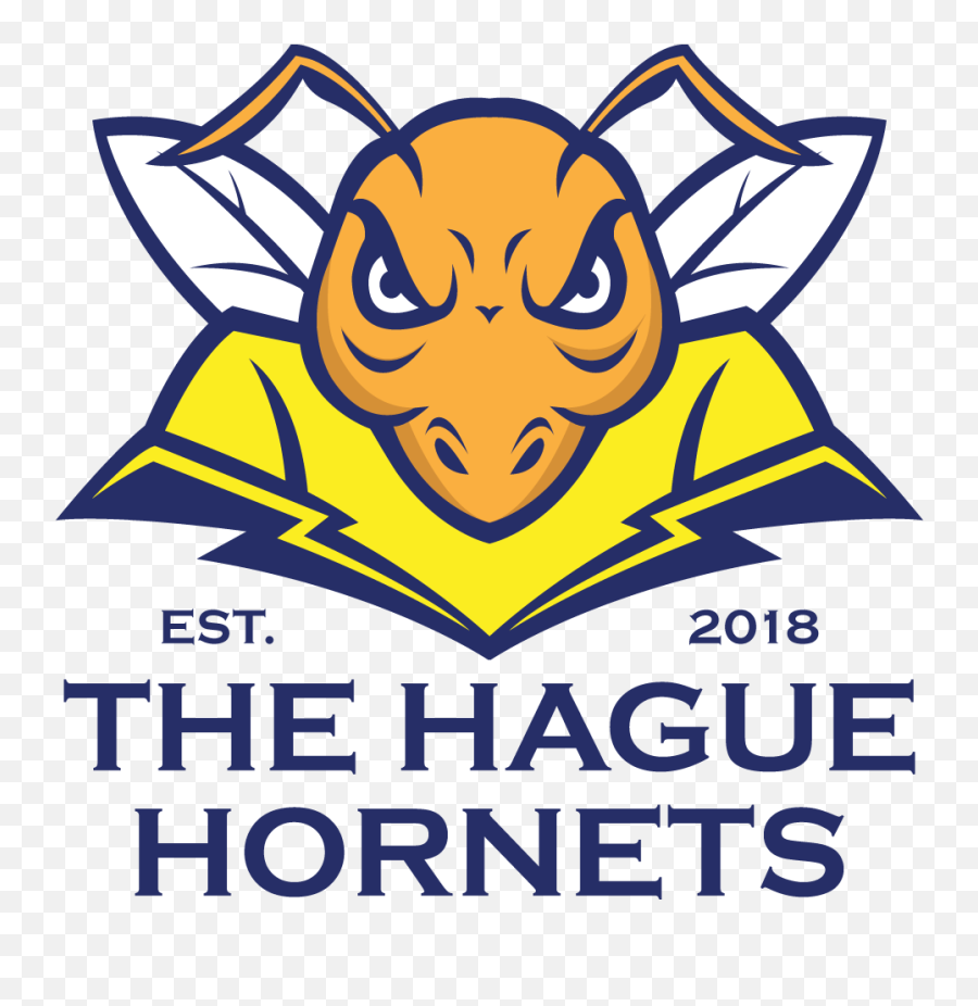 Home - Mizigo Solutions Png,Hornets Logo Png