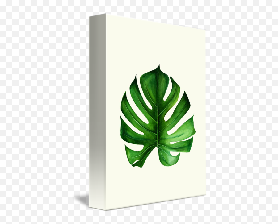 Monstera Leaf Ii By Tania Amrein - Lampshade Png,Monstera Leaf Png