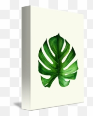 Monstera Leaf Ii By Tania Amrein - Lampshade Png,Monstera Leaf Png