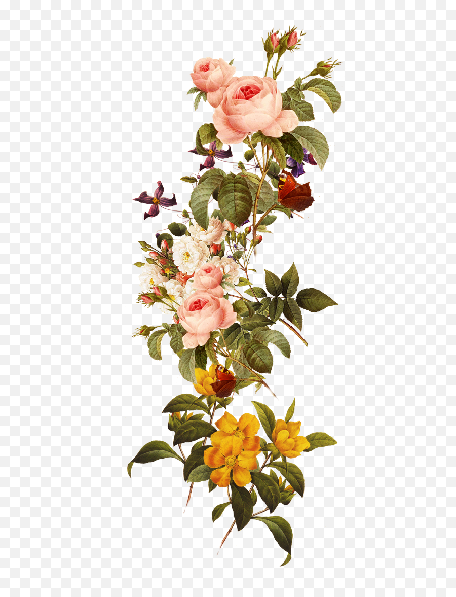 Library Of Free Download Images Flowers Png Files - Flowers Png,Rose Flower Png