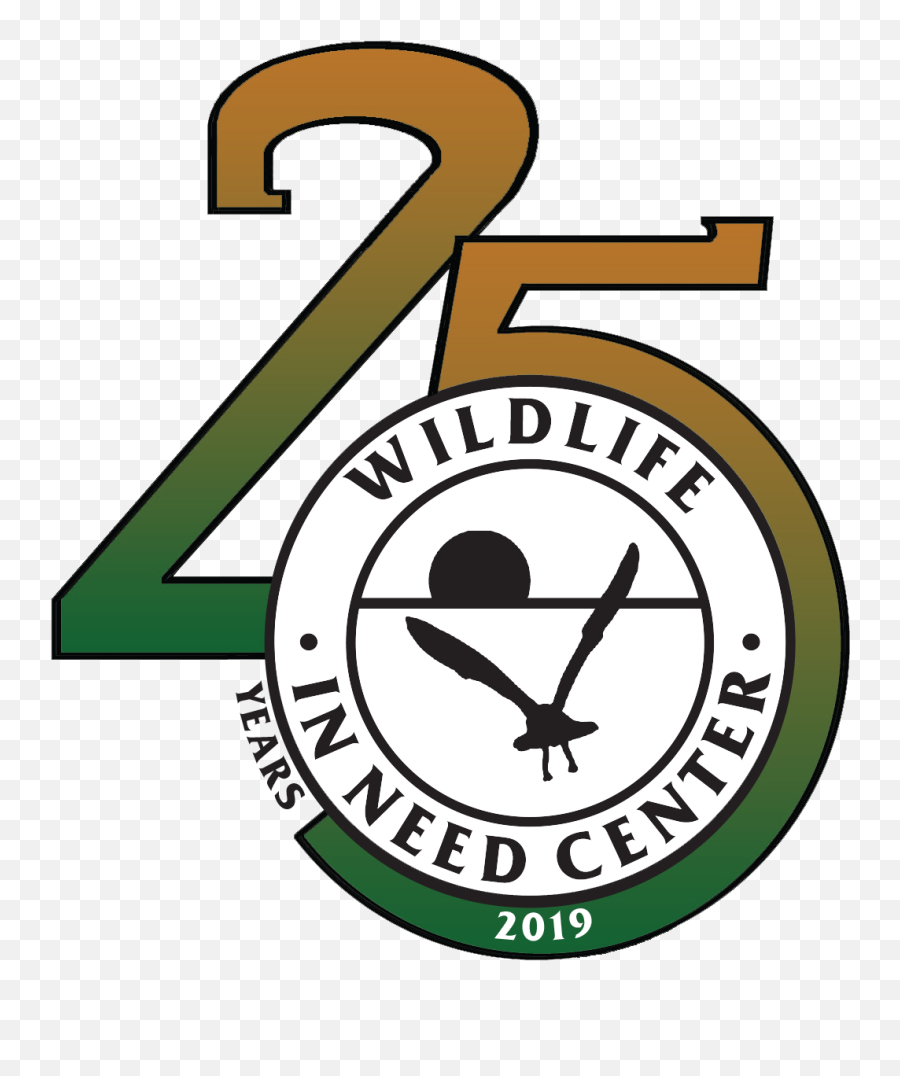 25th Anniversary Logo Color Emblem Png 25th Anniversary Logo Free Transparent Png Images Pngaaa Com