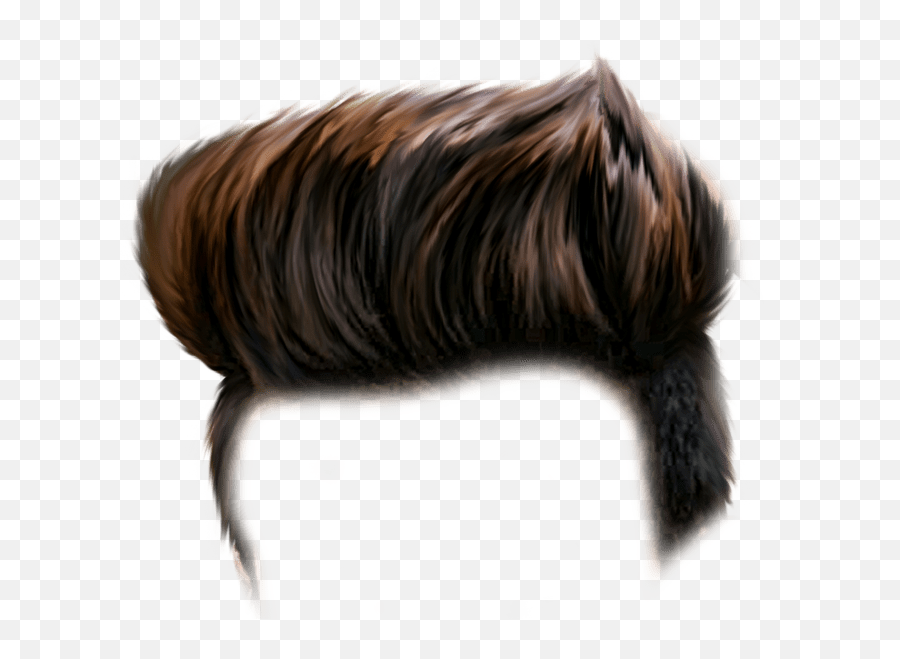 Hair Png - Hairstyle Boy Png,Trump Wig Png - free transparent png images -  
