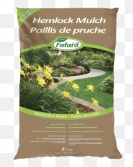 Ground Cover Archives - Scotts Fafard Best Landscaping Design Summerfield Nc png