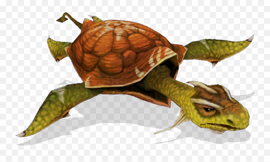 Sea Turtle Sphinx And The Cursed Mummy Wiki Fandom Eastern Box Turtle Png Sea Turtle Png Free Transparent Png Images Pngaaa Com