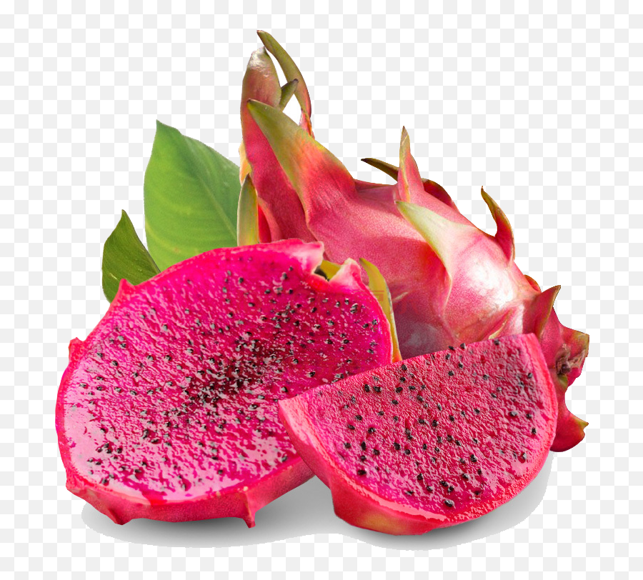 Postharvest Life Of The Dragon Fruits - Red Dragon Fruit Logo Png,Dragon Fruit Png