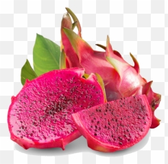 Postharvest Life Of The Dragon Fruits - Red Dragon Fruit Logo Png,Dragon Fruit Png