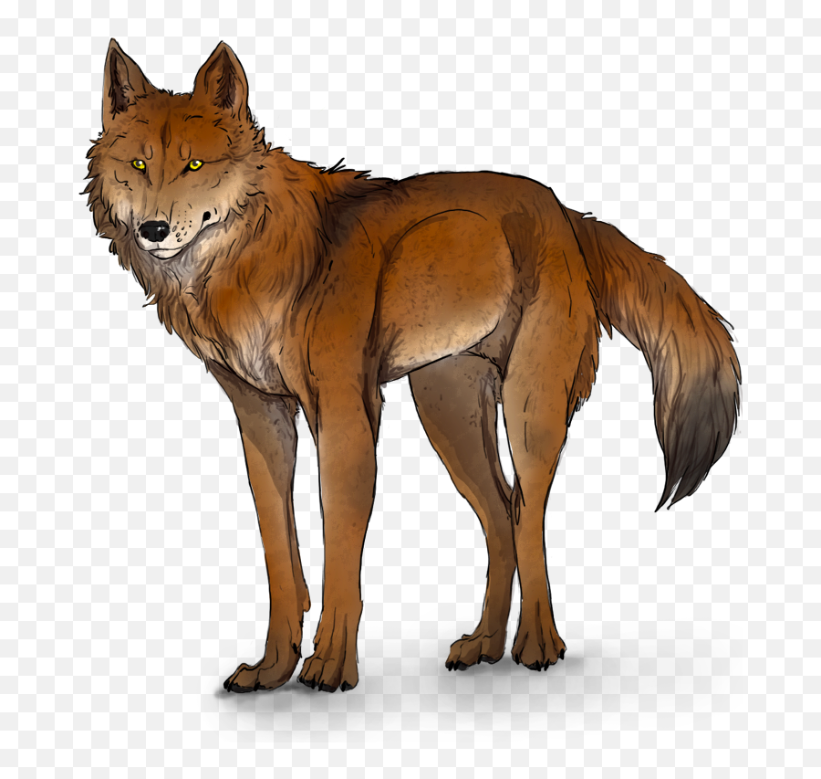 Download Ginger And White Wolf - Full Size Png Image Pngkit Ginger Wolf,White Wolf Png