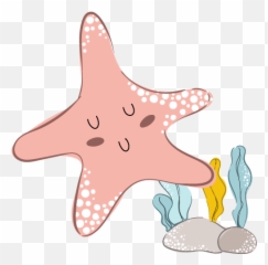 Edrington Park Childcare Centre And Kindergarten - Starfish Lovely Png,Starfish Png