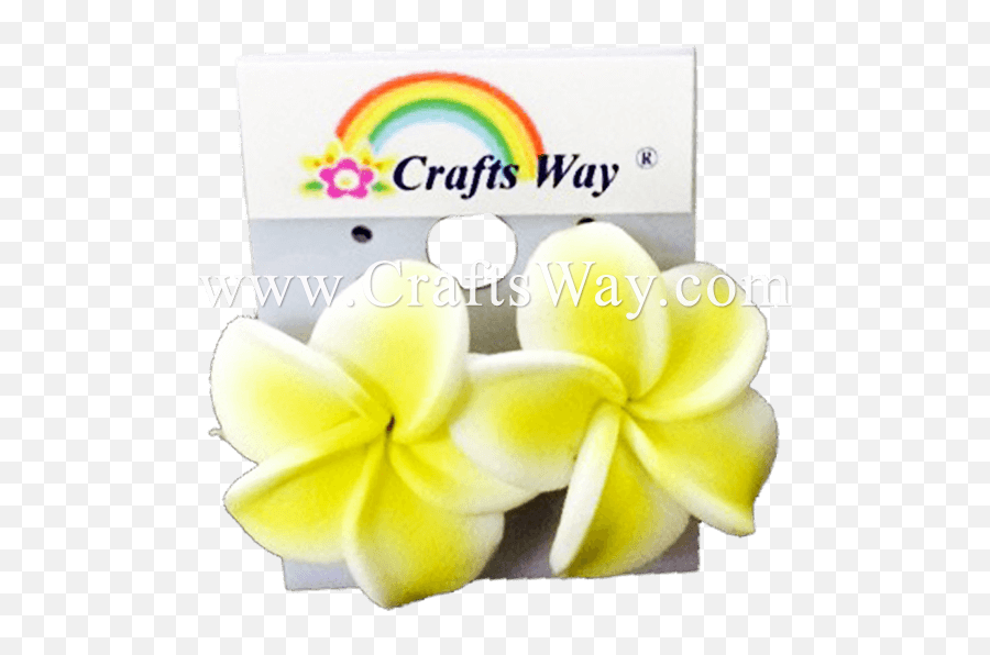 Plumeria Earrings 28 - Ecstasy Crafts Png,Plumeria Png