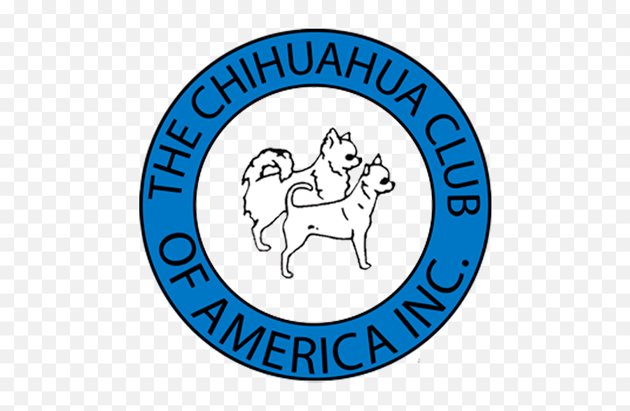 The Chihuahua Club Of America - The Official Akc Parent Club Chihuahua Club Of America Png,Chihuahua Png