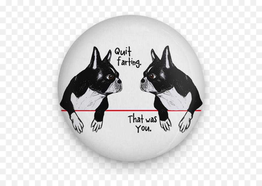 Farting Boston Terriers Magnet - Boston Terrier Png,Boston Terrier Png