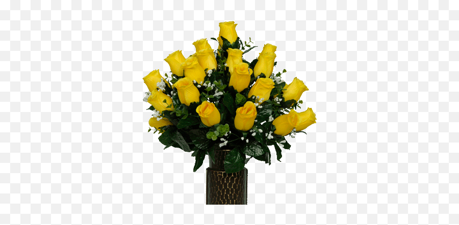 Yellow Roses - Garden Roses Png,Yellow Roses Png