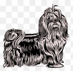 Download Hd Shih Tzu Dog Royalty Free - Shih Tzu Vector Png,Shih Tzu Png