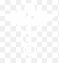 Our Providers - Allied Health Clipart png